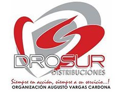 logo_0020_Drosur